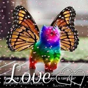 Meet your Posher, Shelly